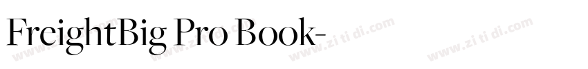 FreightBig Pro Book字体转换